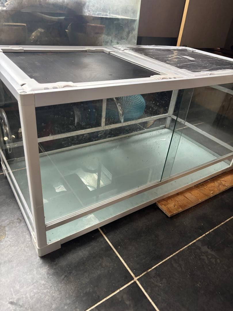 たつ　パンテオン9045