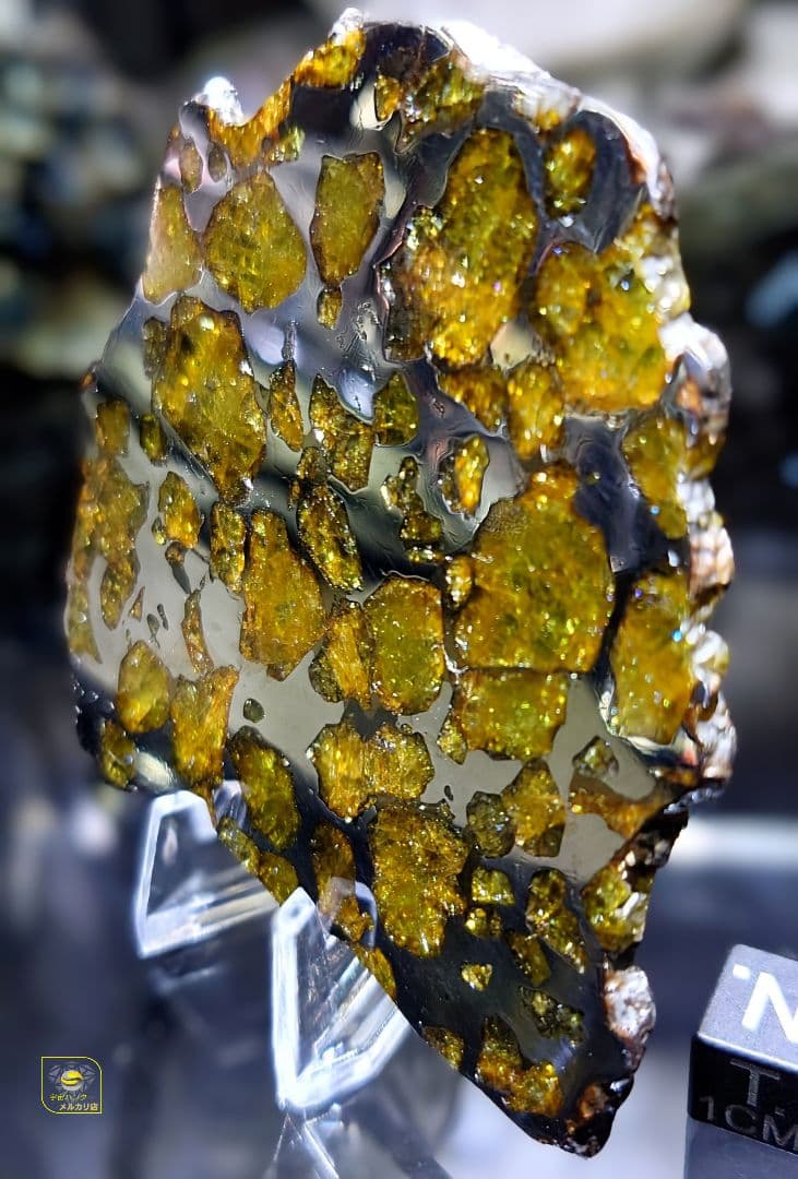 ★51.38g イミラック パラサイト 隕石 Imilac⭐⭐⭐