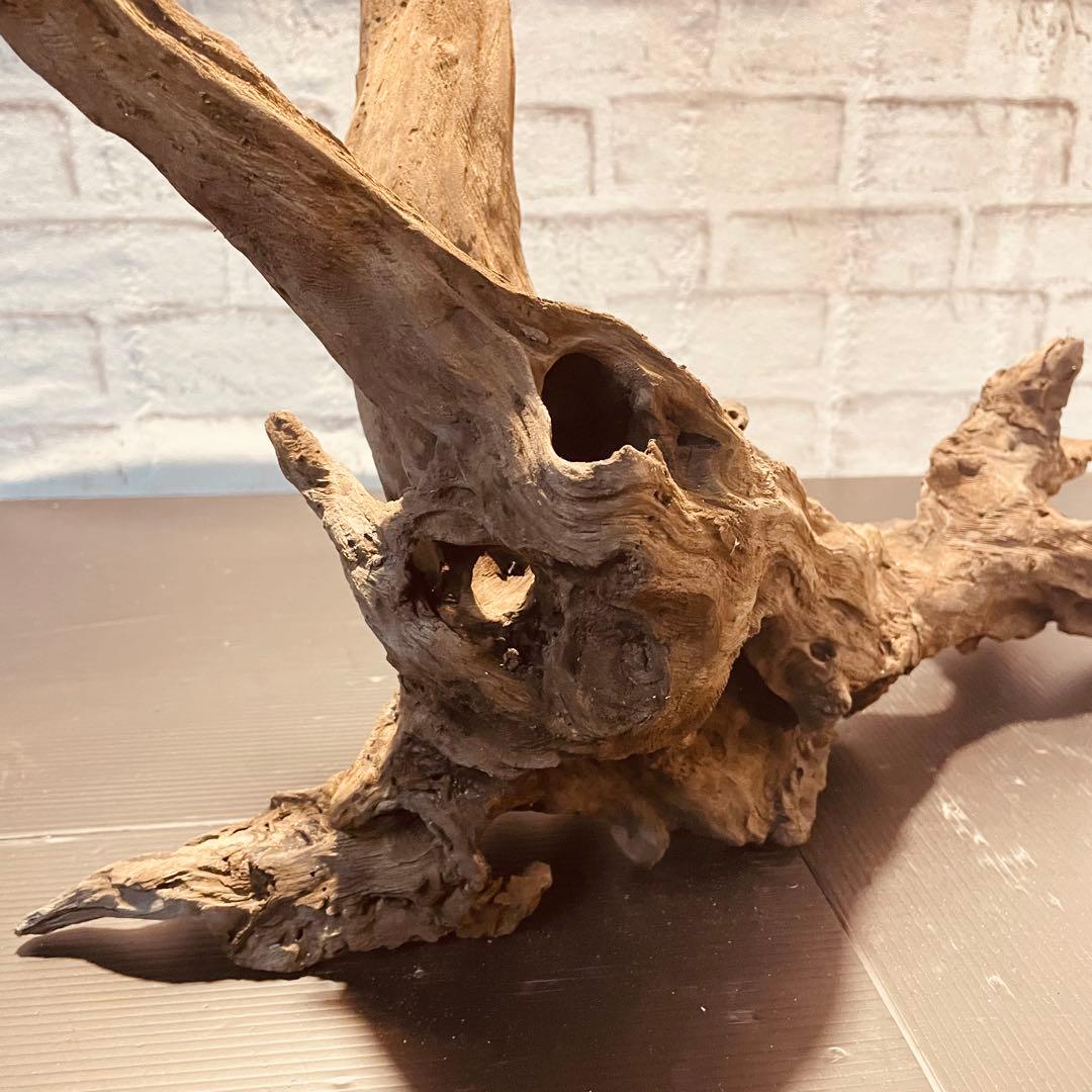 天然流木233 アク抜き処理済み　沈水処理済み　ビオトープ　水槽レイアウト