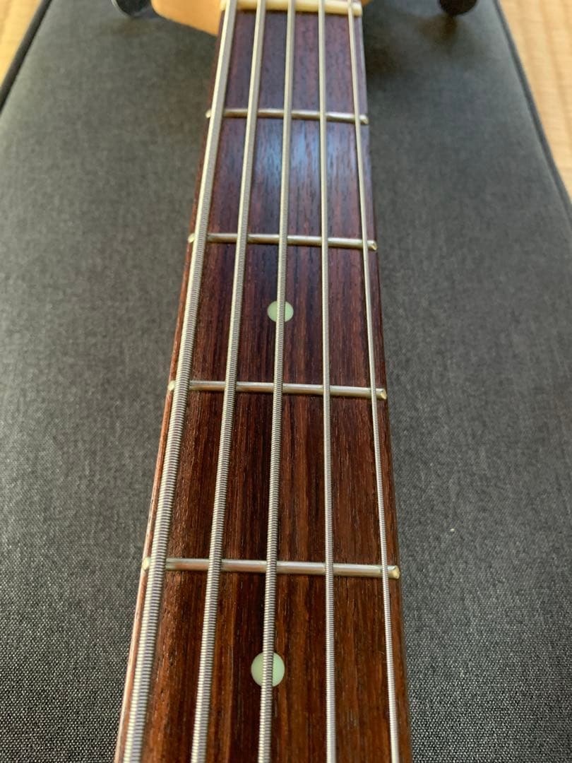 美品Xotic/XJ-1T5st HeavyAged Alder/R