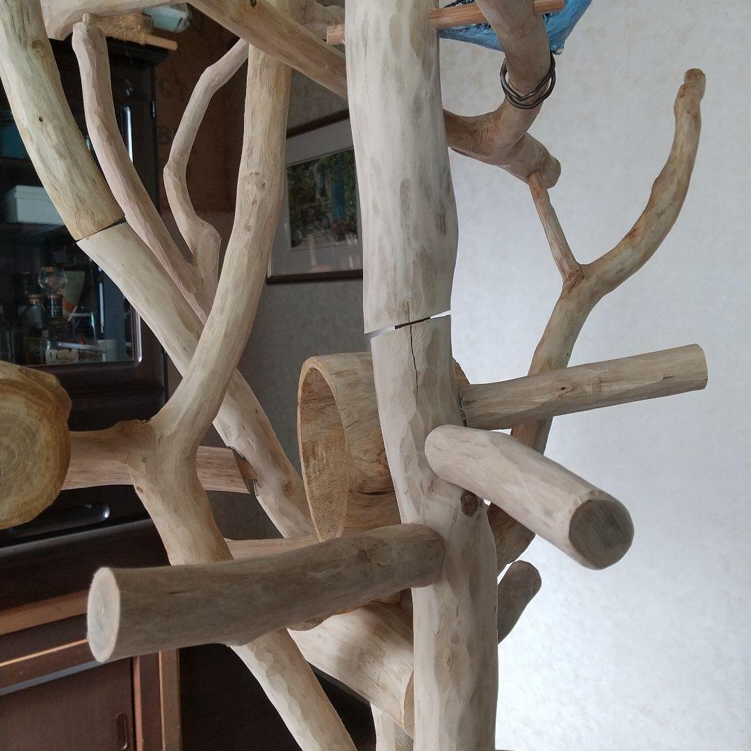 小鳥の楽園バードアスレチックツリージム②