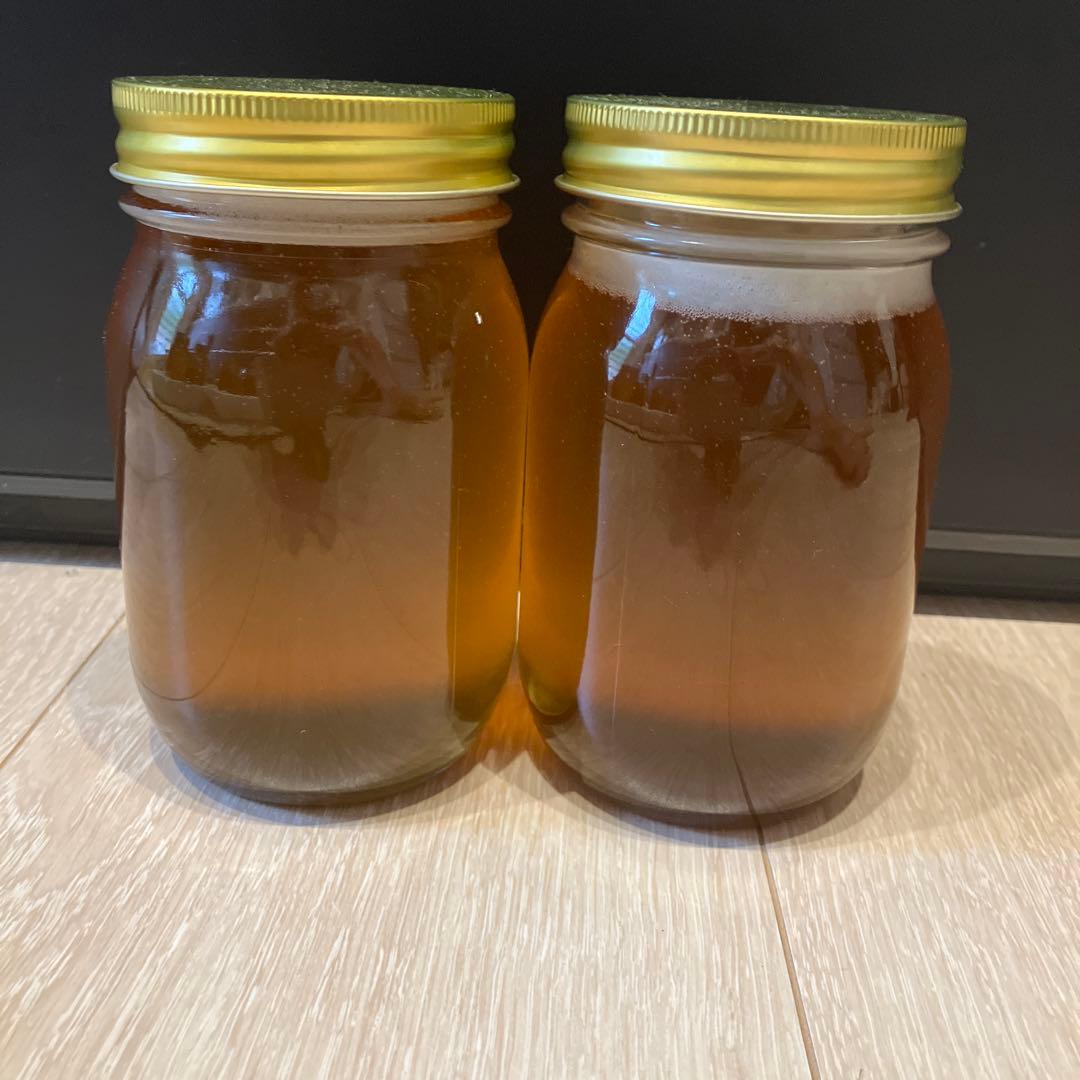 ニホンミツバチ　百花蜜のたれ蜜