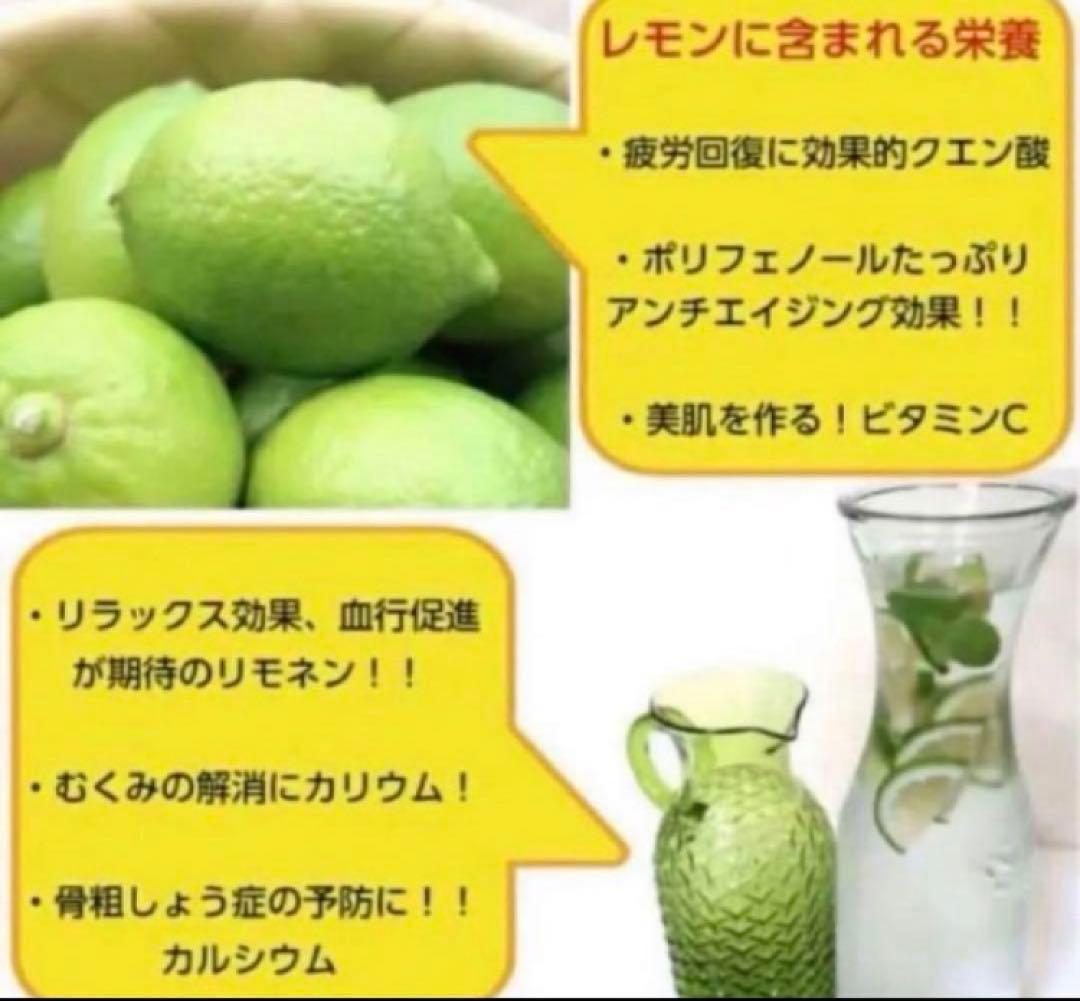 ひー様♡酵素栽培ネーブル &瀬戸田レモン　皮も食べてね　グリグリーン農園