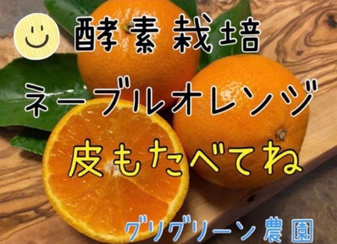 ひー様♡酵素栽培ネーブル &瀬戸田レモン　皮も食べてね　グリグリーン農園