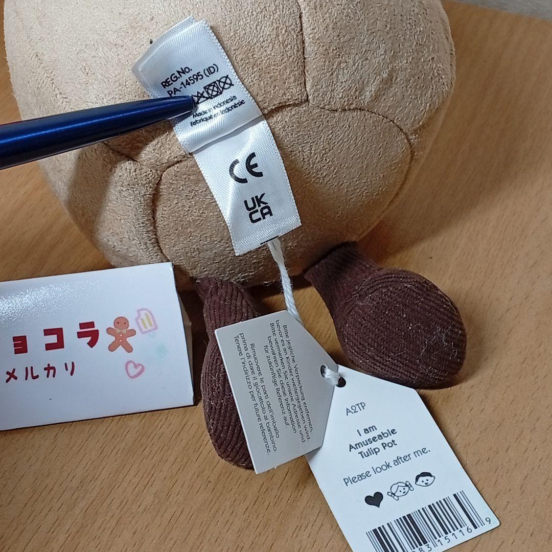  tulip pot　ジェリーキャット　チューリップ 花 植木鉢