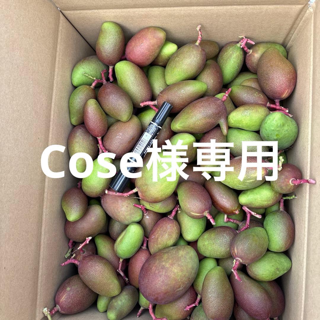 摘果マンゴー2/11❶