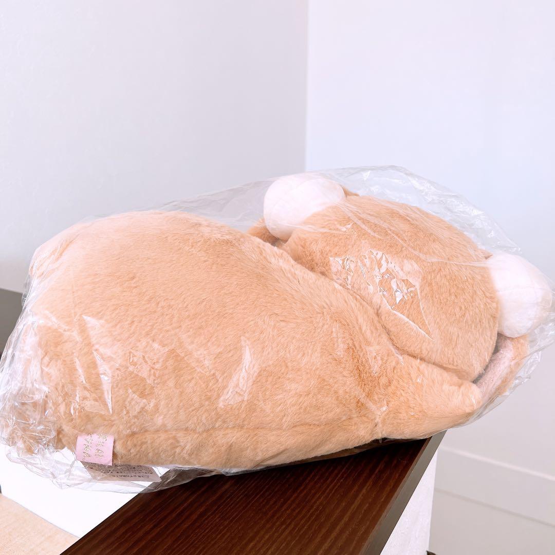 コリラックマ くつろぎ抱きぐるみ　あなたのちいさなかぞく　ロップイヤー　うさぎ
