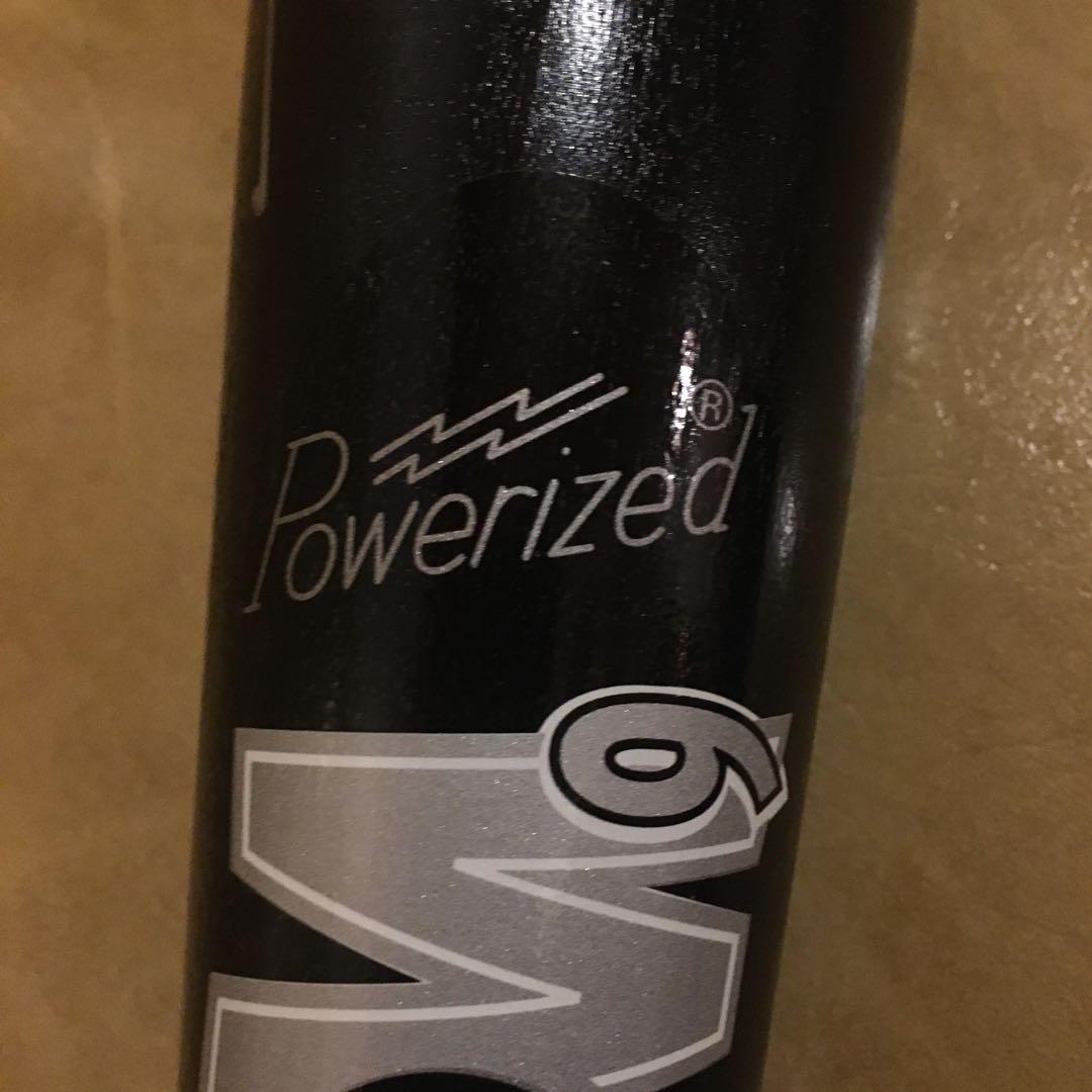 ゲイリー シェフィールド 直筆サイン入り実使用バット