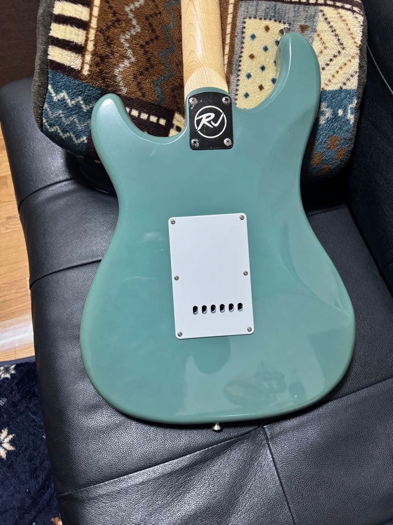 ギター RJ Vibecaster Professional