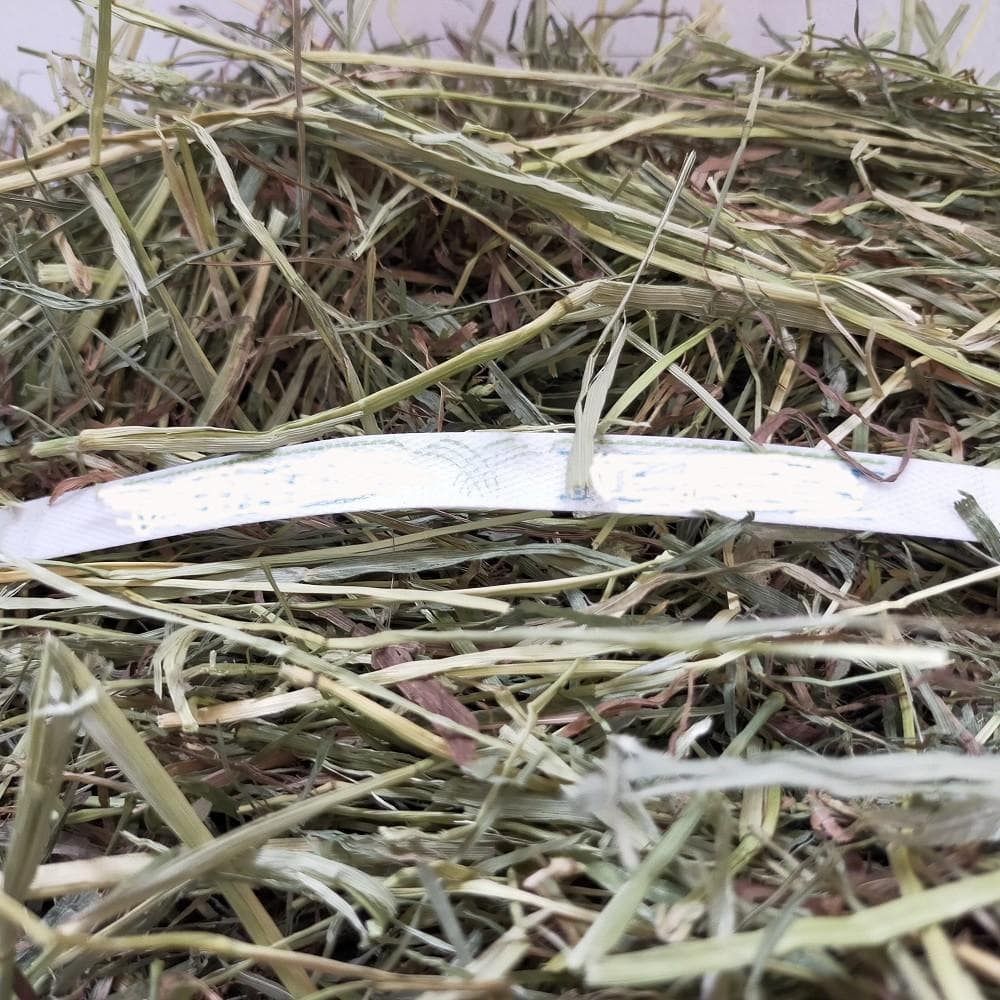 US産 チモシー 50kg ２番刈 ソフトSプレミアム