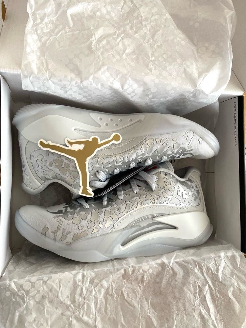 セール　ジョーダン　ザイオン3 PF リキッドメタル 25cm シルバー