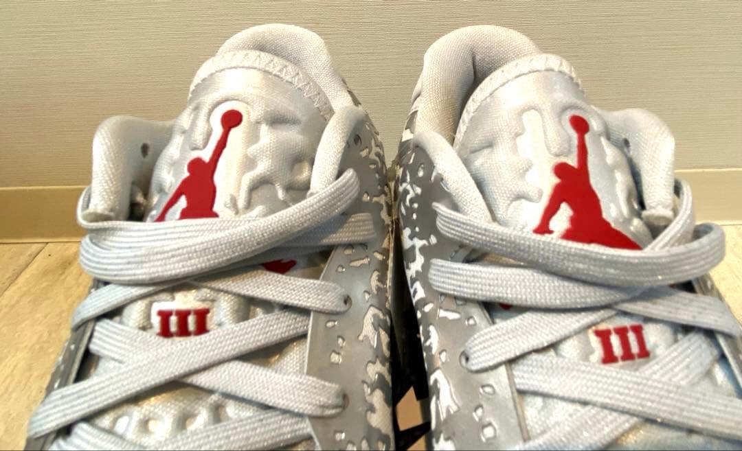 セール　ジョーダン　ザイオン3 PF リキッドメタル 25cm シルバー