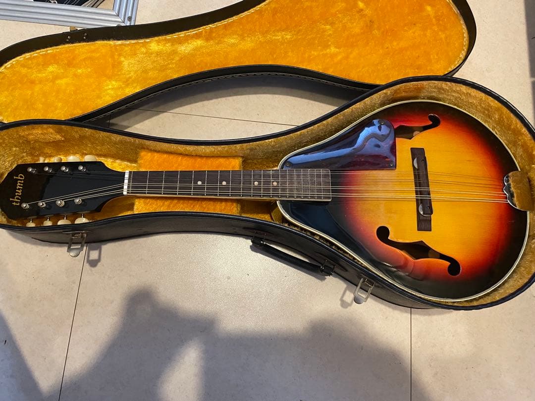 マンドリン　thumb 木製 8弦