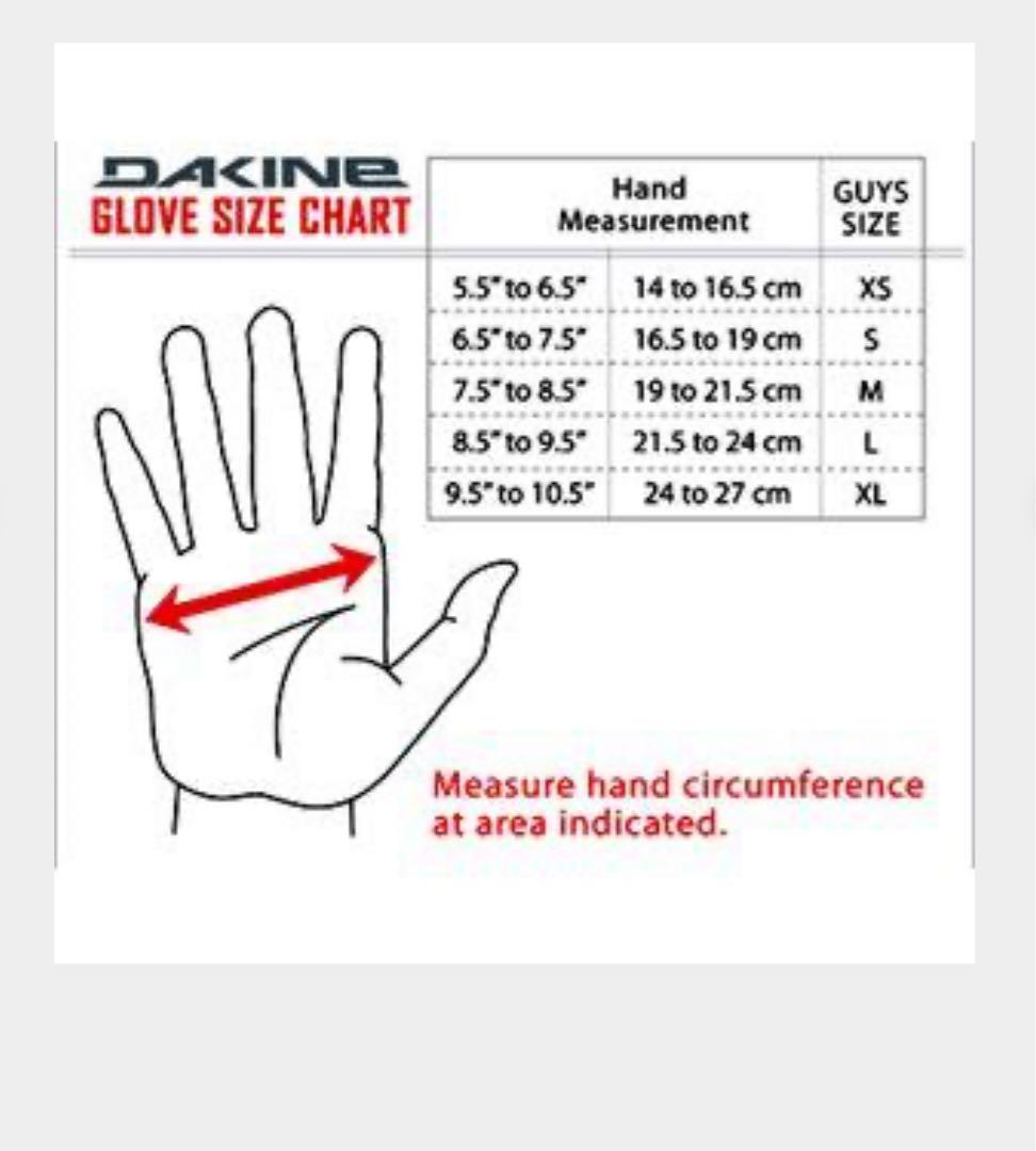 新品 DAKINE Titan Gore-Tex ゴアテックス RUB-Ｌ