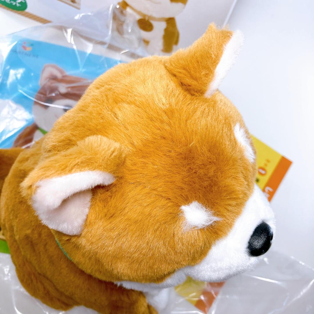 しばいぬコウタ バンダナつきセット こんにちワン！しばいぬ コウタ　|4007|