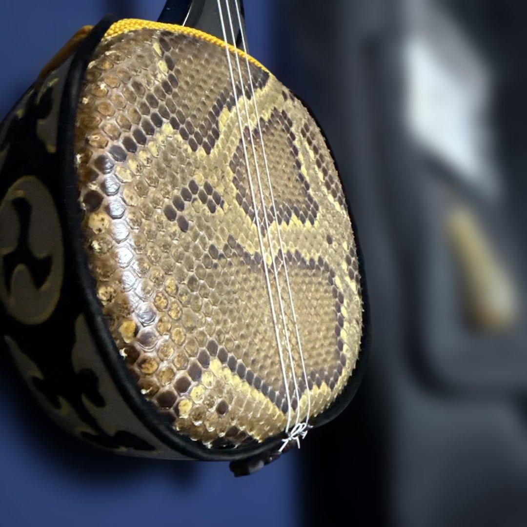 三線 ソフトケース付き（三線はニシキヘビの蛇皮）