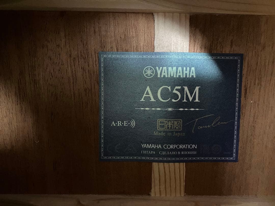 YAMAHA AC5M エレアコ 新品定価198,000円　調整済み