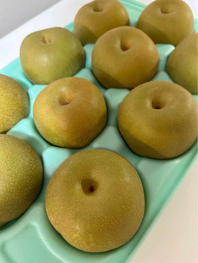 千葉梨　豊水梨10キロ