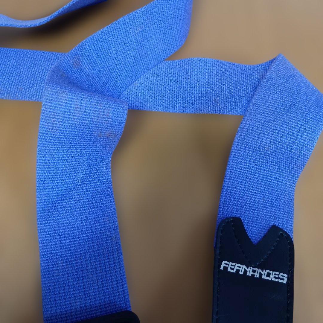 FERNANDES パープル エレキギター　ZO3