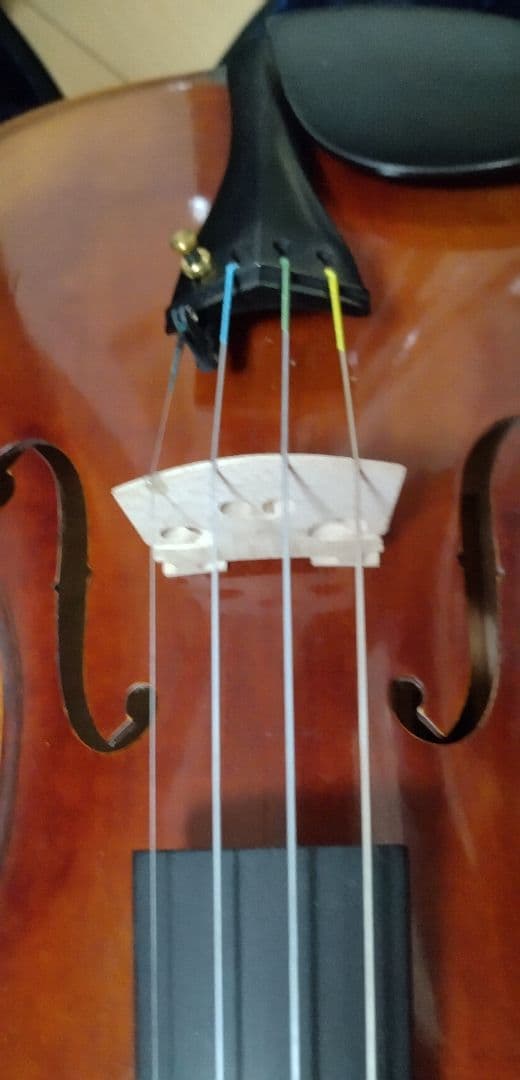 GEWA Meister II バイオリンセット