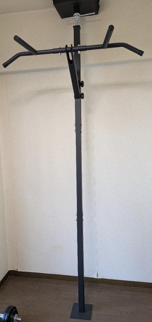 KENSUI kaku_TEDDY WORKS 懸垂バー スチール製 ブラック