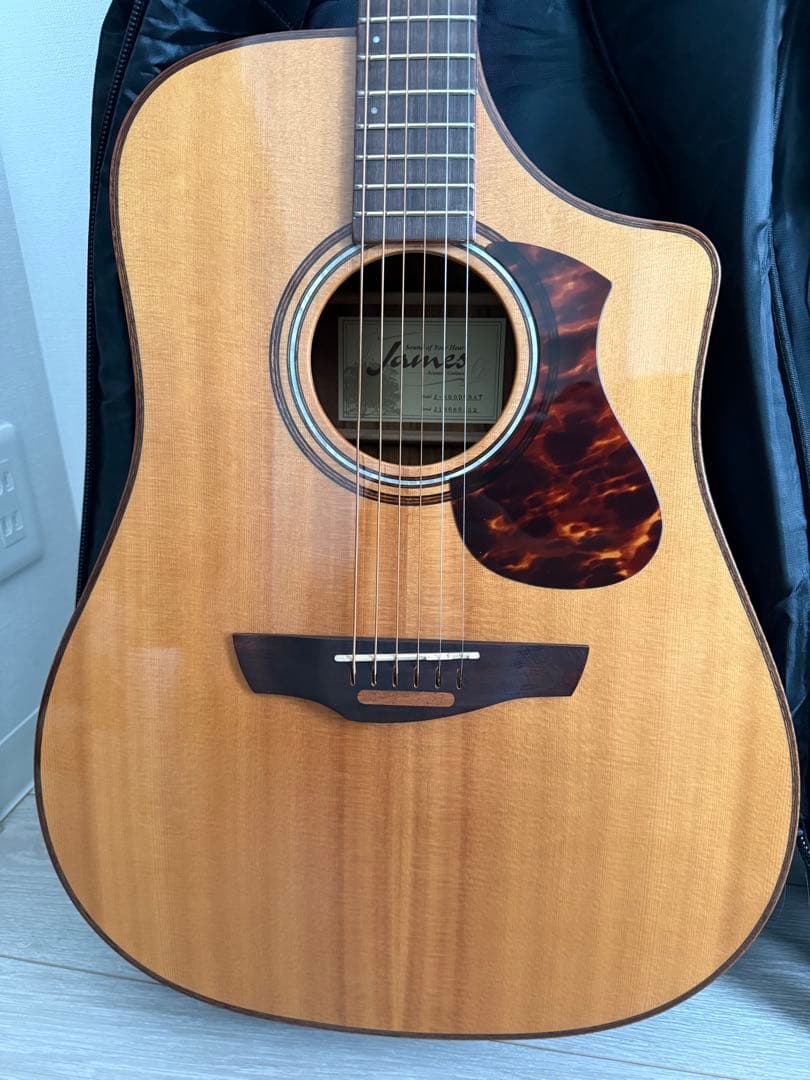 James J-600DCNAT アコースティックギター ケース付き　エレアコ