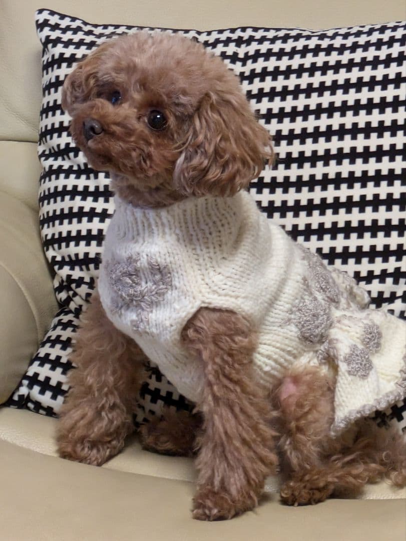 ご覧の皆様へ　採寸について少し…