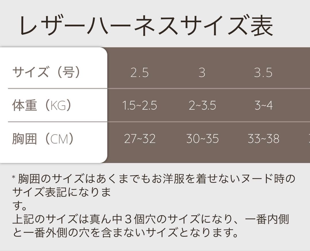 試着のみ　バディーベルト ラテ3号 正規品