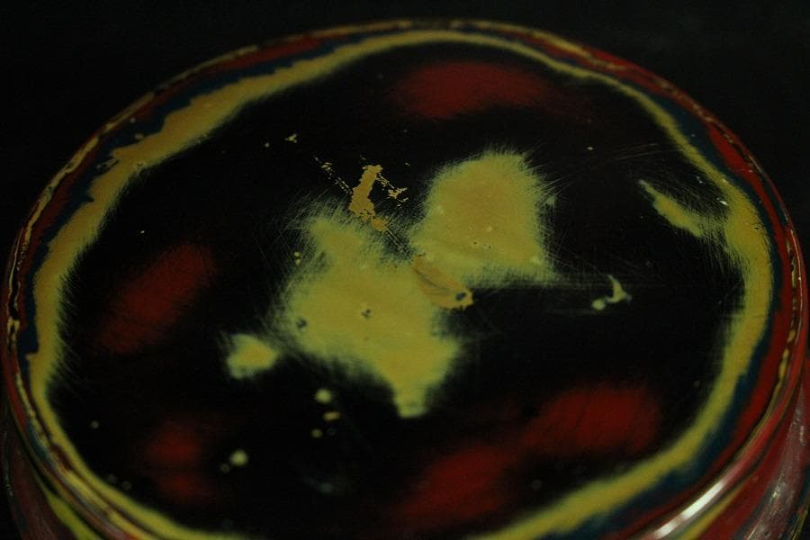 乾漆 色漆堆朱 茶器 香合 雪松作 共箱 未使用(K-A641)