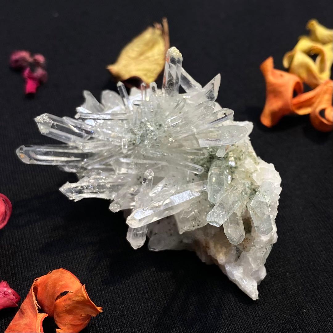 コロンビアレムリアンクラスター