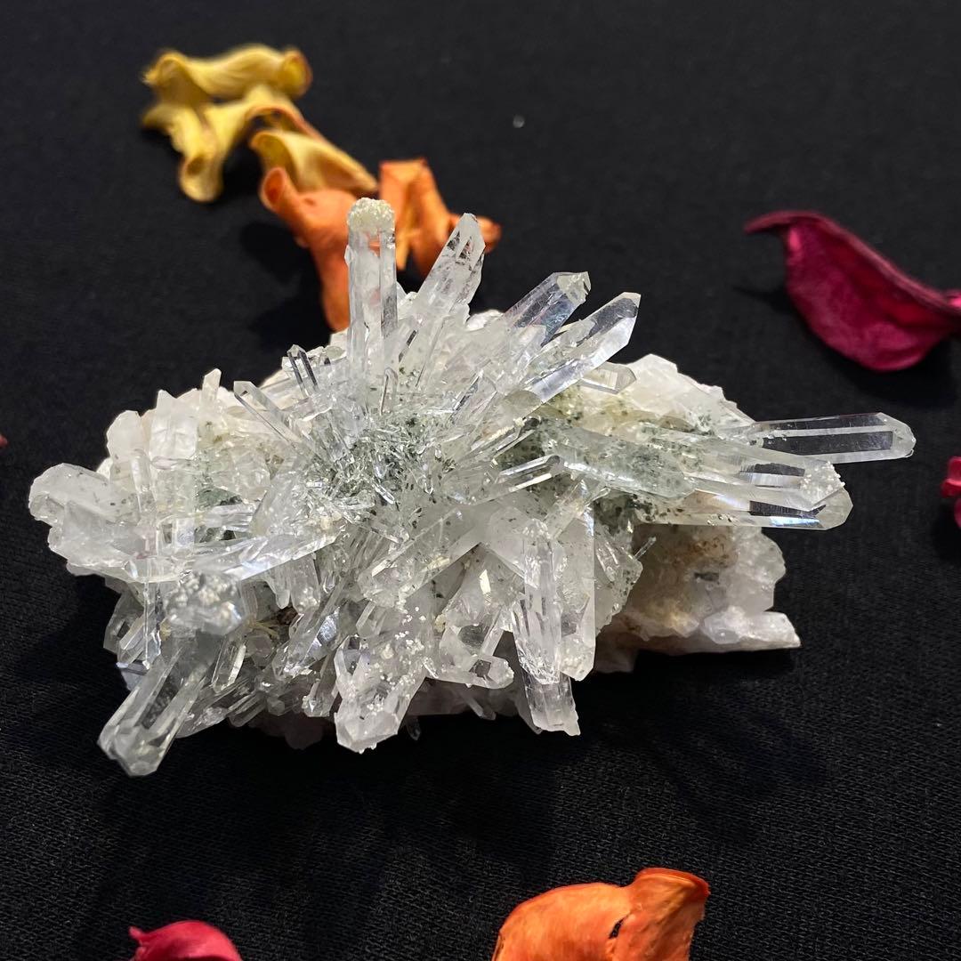 コロンビアレムリアンクラスター