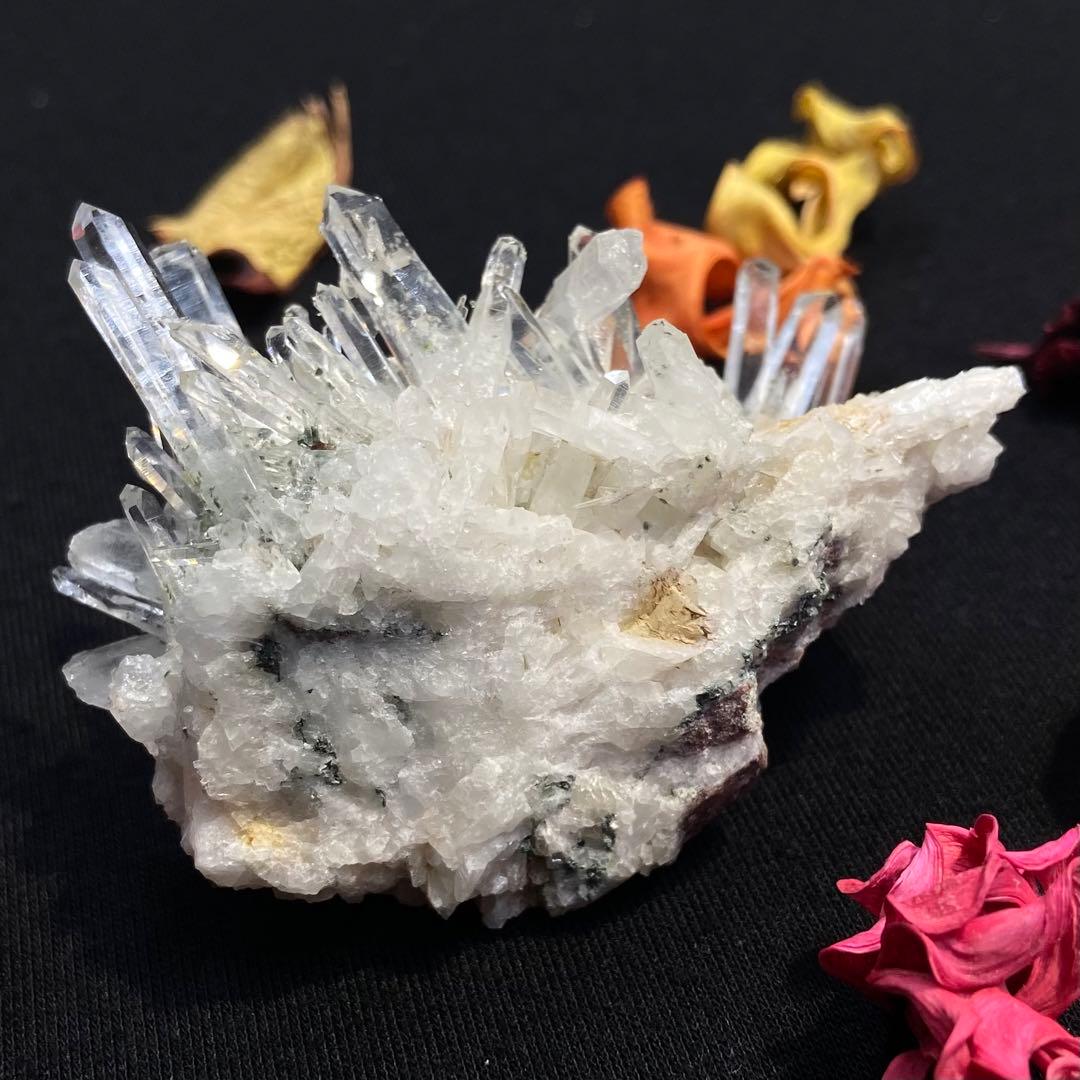 コロンビアレムリアンクラスター