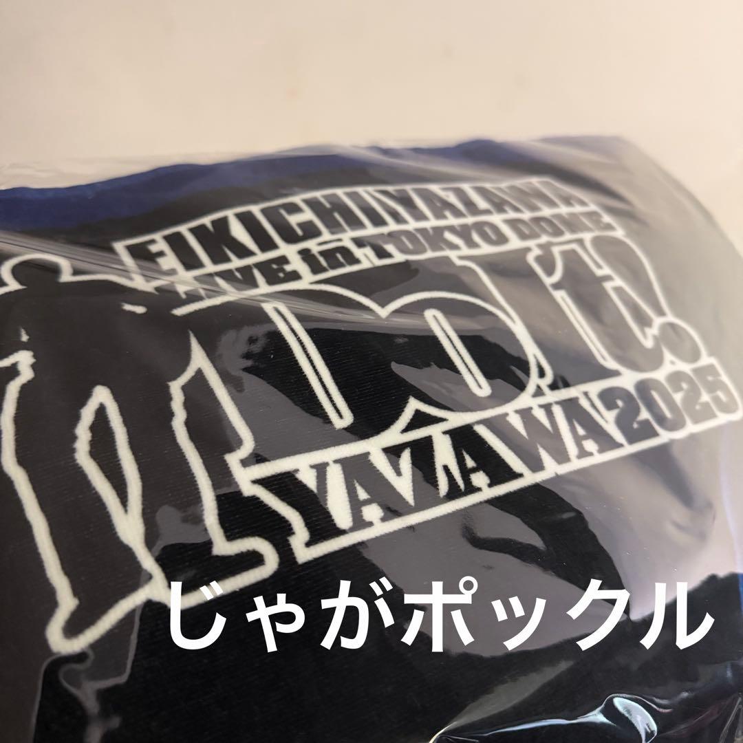 TOKYO DOMEビーチタオル　矢沢永吉　東京ドーム限定