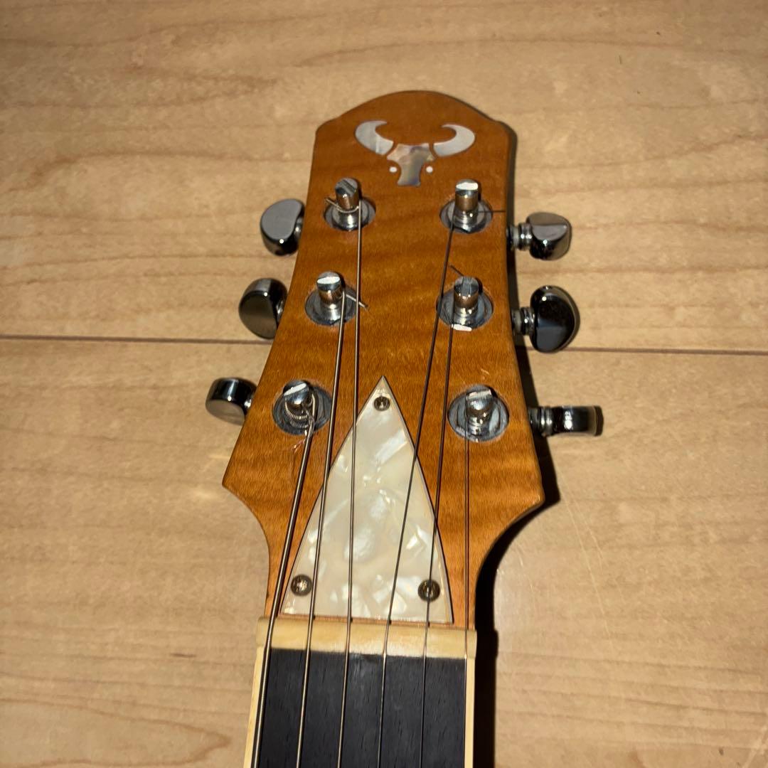 自作　エレキギター　詳細不明　かっこいいですがジャンク　ディマジオピックアップ