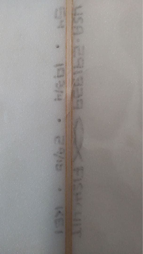 CHANNEL S fishcuit 5,4 手渡し限定