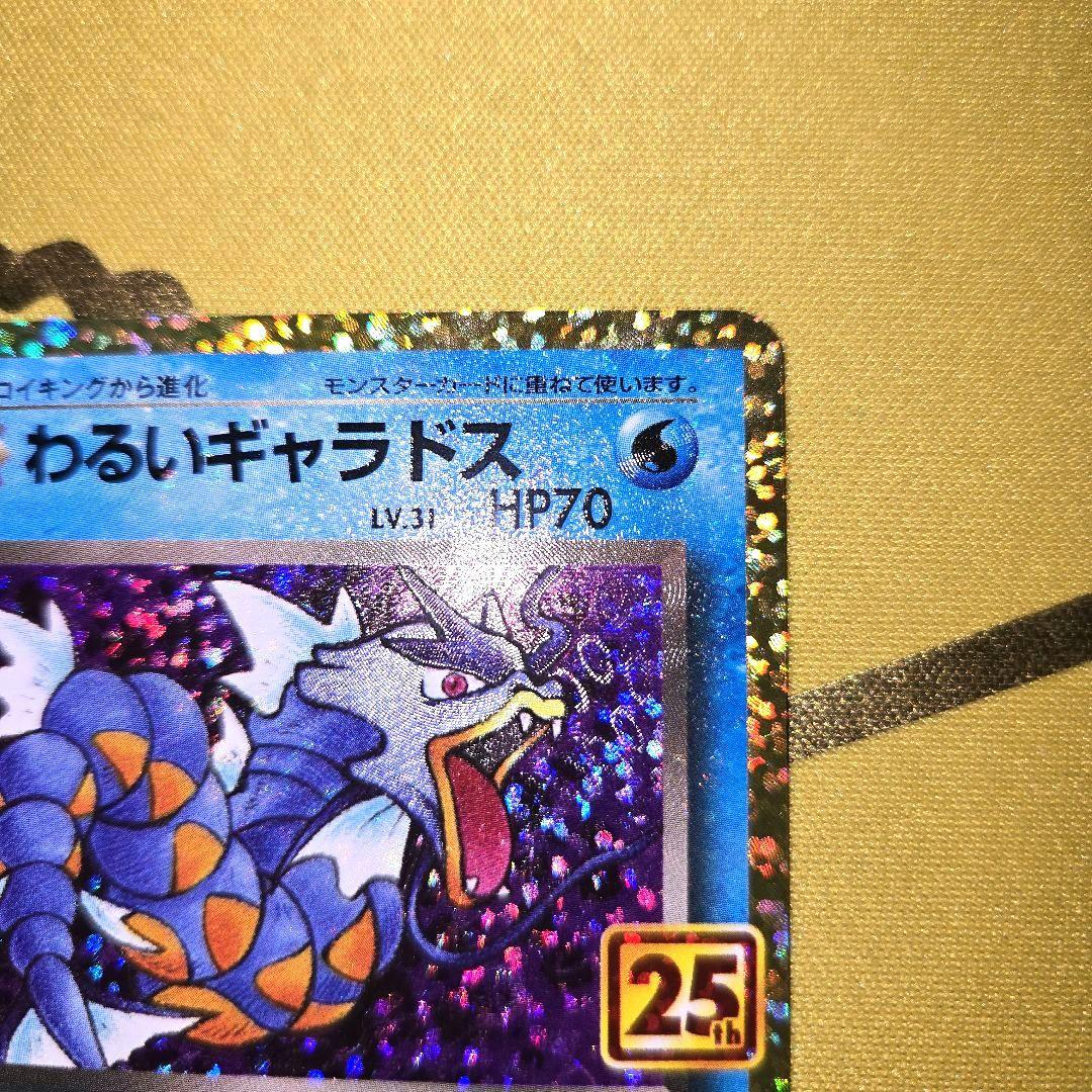 25th Anniversary　わるいギャラドス