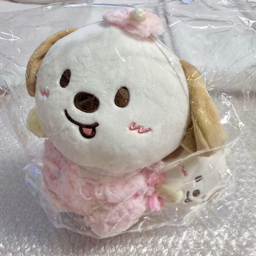 RIIZE アントン20cm ぬいぐるみ モンリョンイ