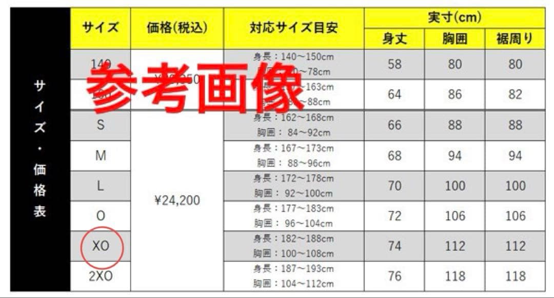 【ジョリー出品】柏レイソル 2025シーズンモデル リミテッドユニフォーム
