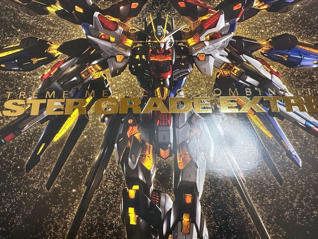 MGEXストライクフリーダムガンダム　完成品