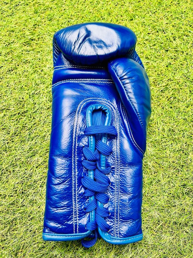 ❤️ TWINS ボクシンググローブ 12 OZ 青