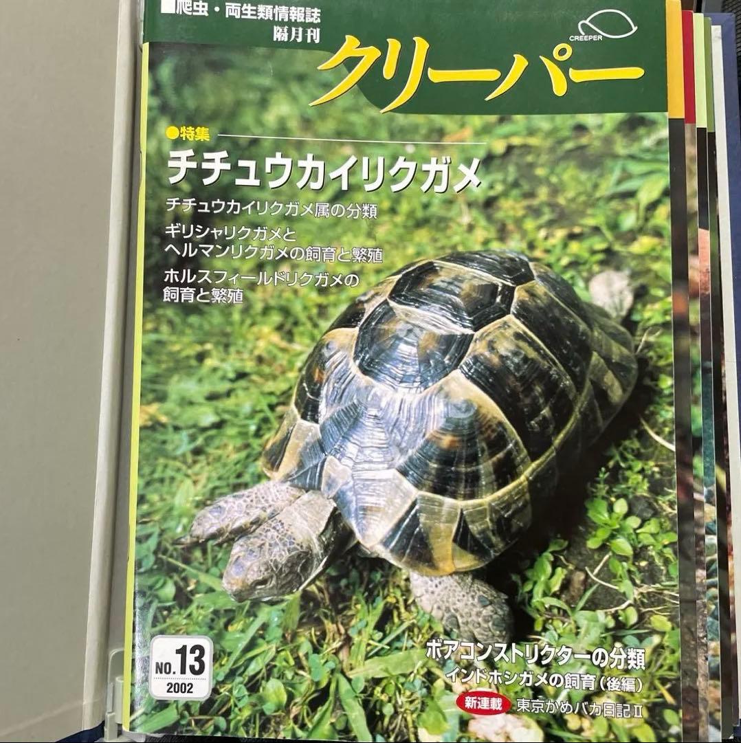 クリーパー 13号から18号　6冊　バインダーセット