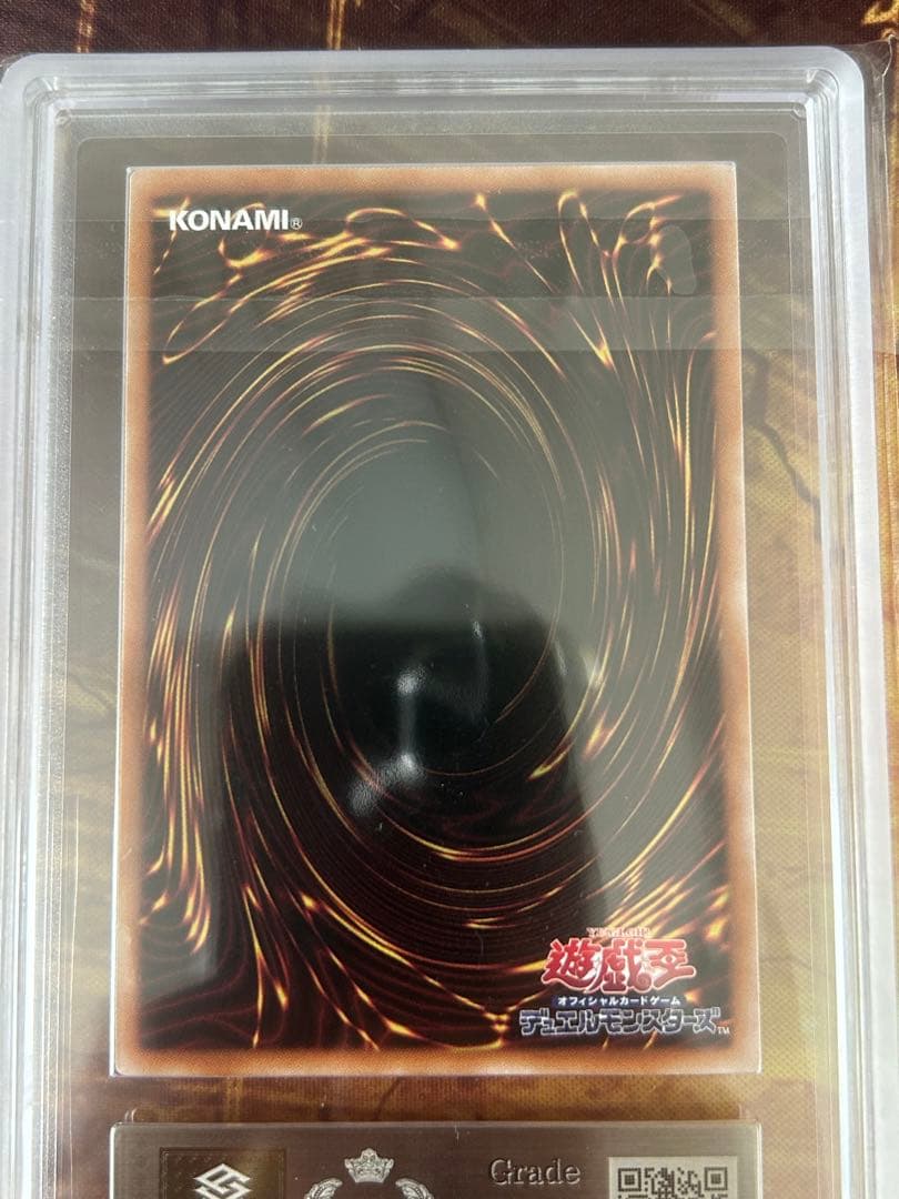 【ARS10+】誇りと魂の龍　25th 日版【ほこたま】