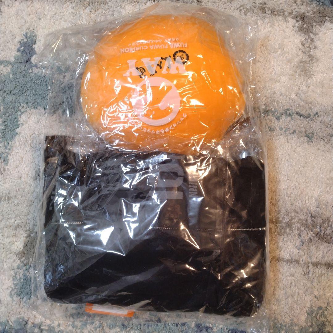 湘南乃風　500個限定キャリーケース＋グッズ