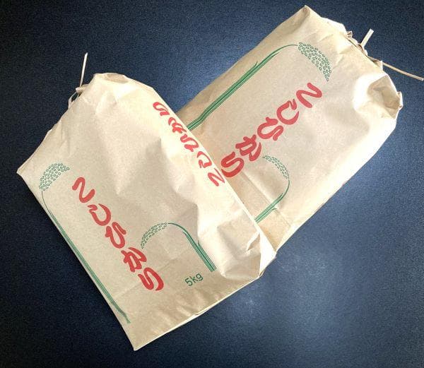 農家保有米 令和7年産 新米 コシヒカリ 10kg(5kg×2) 玄米 10キロ