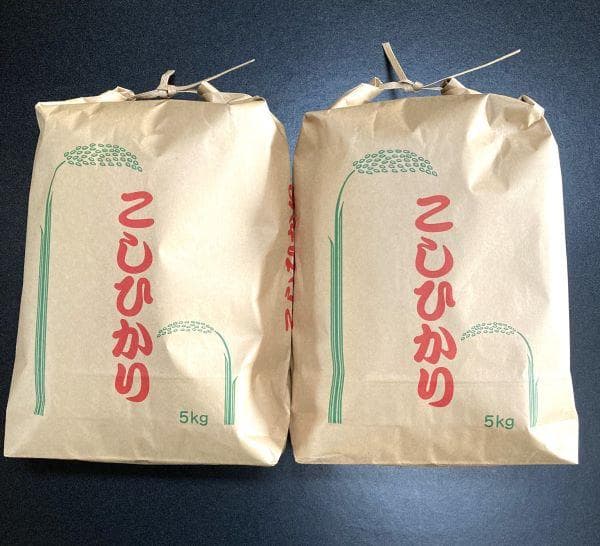 農家保有米 令和7年産 新米 コシヒカリ 10kg(5kg×2) 玄米 10キロ
