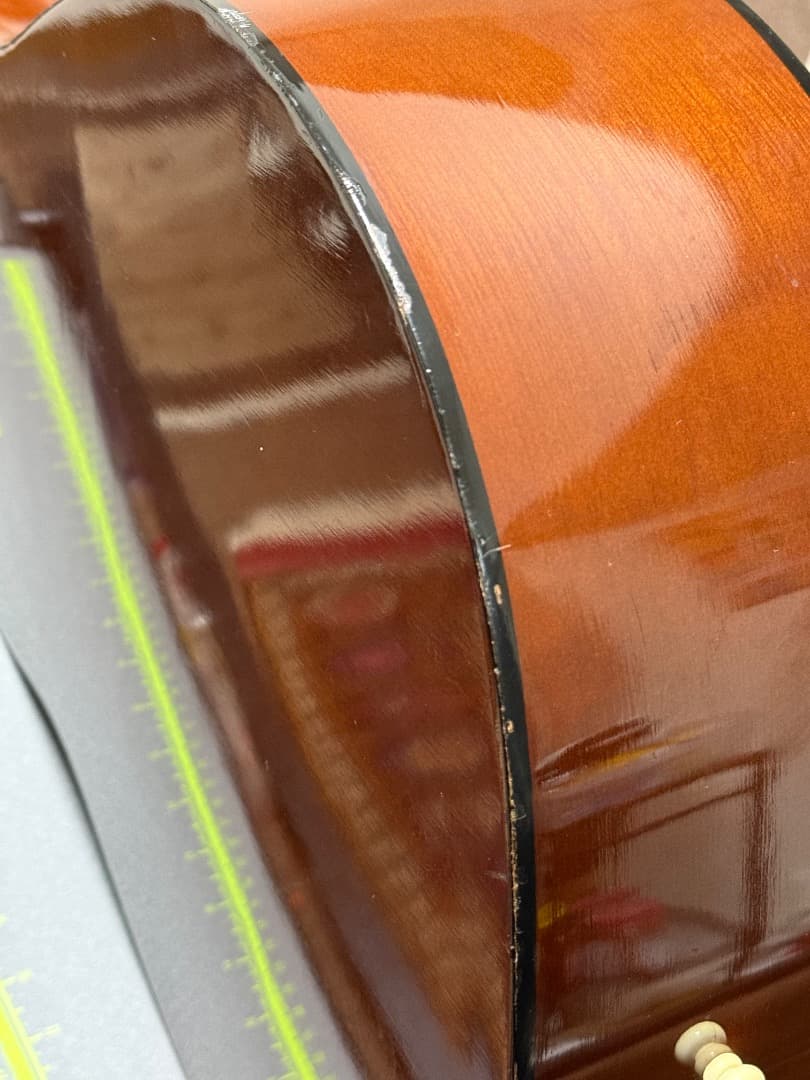 Yamaha F-310 ヤマハ＋ Gator製ギグケース