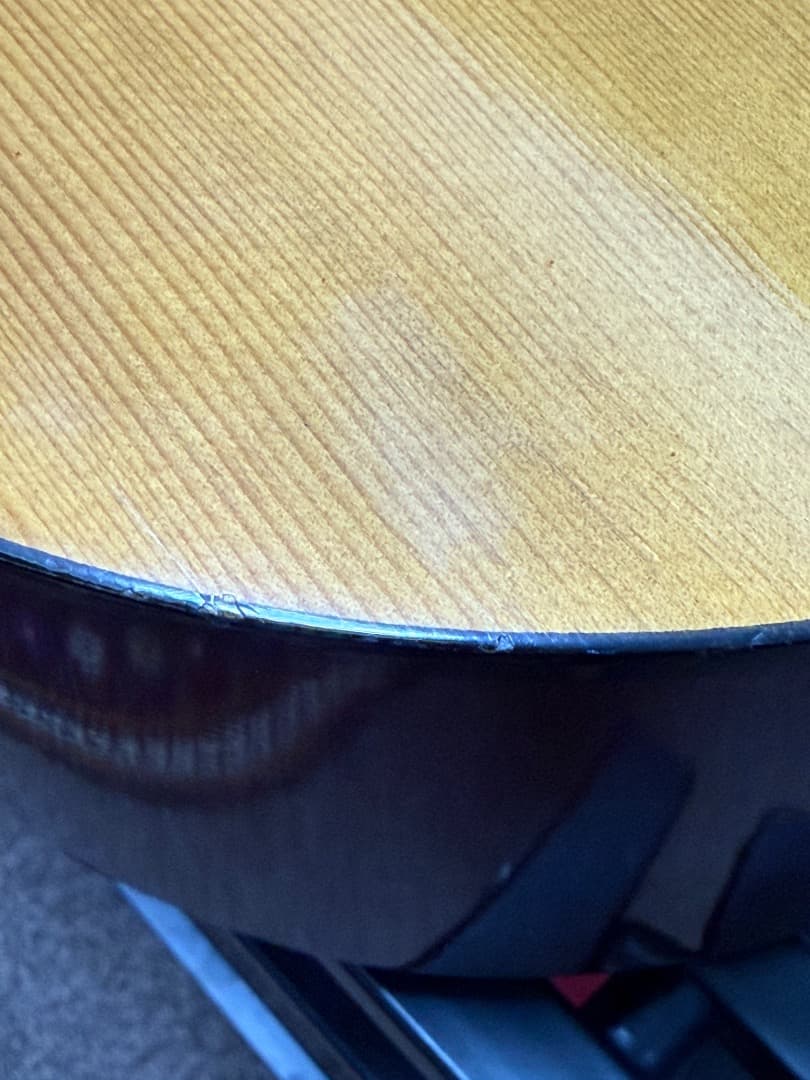 Yamaha F-310 ヤマハ＋ Gator製ギグケース