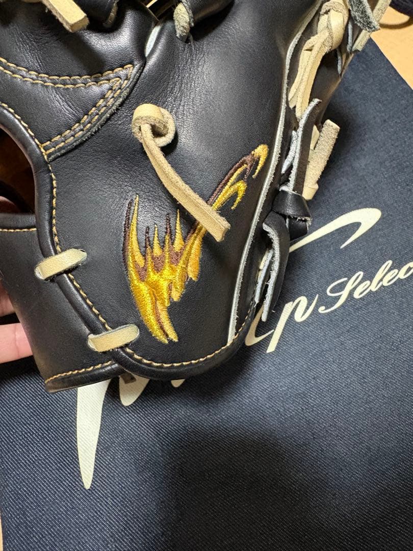 アイピーセレクト　アルモニーア　硬式投手用　限定品直刺繍