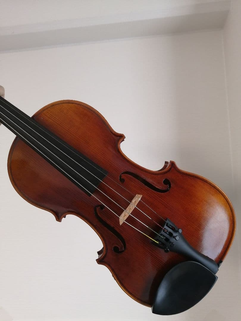 roderich paesold no.806 ヴァイオリン