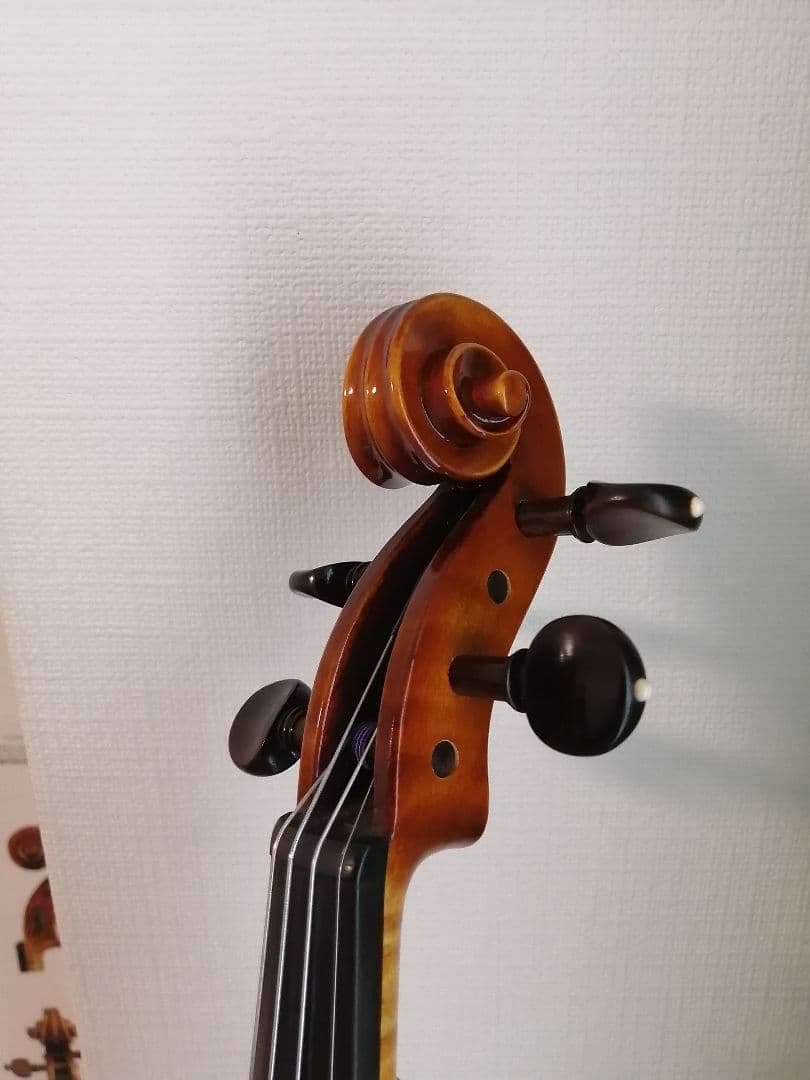 roderich paesold no.806 ヴァイオリン